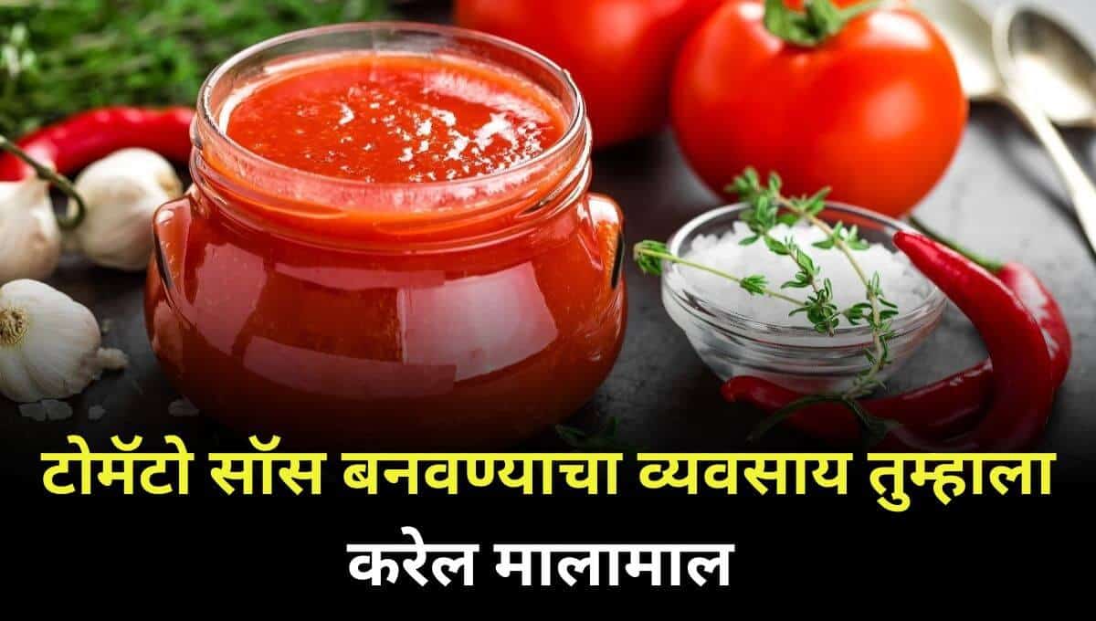 tomato-sauce-business-idea-marathi