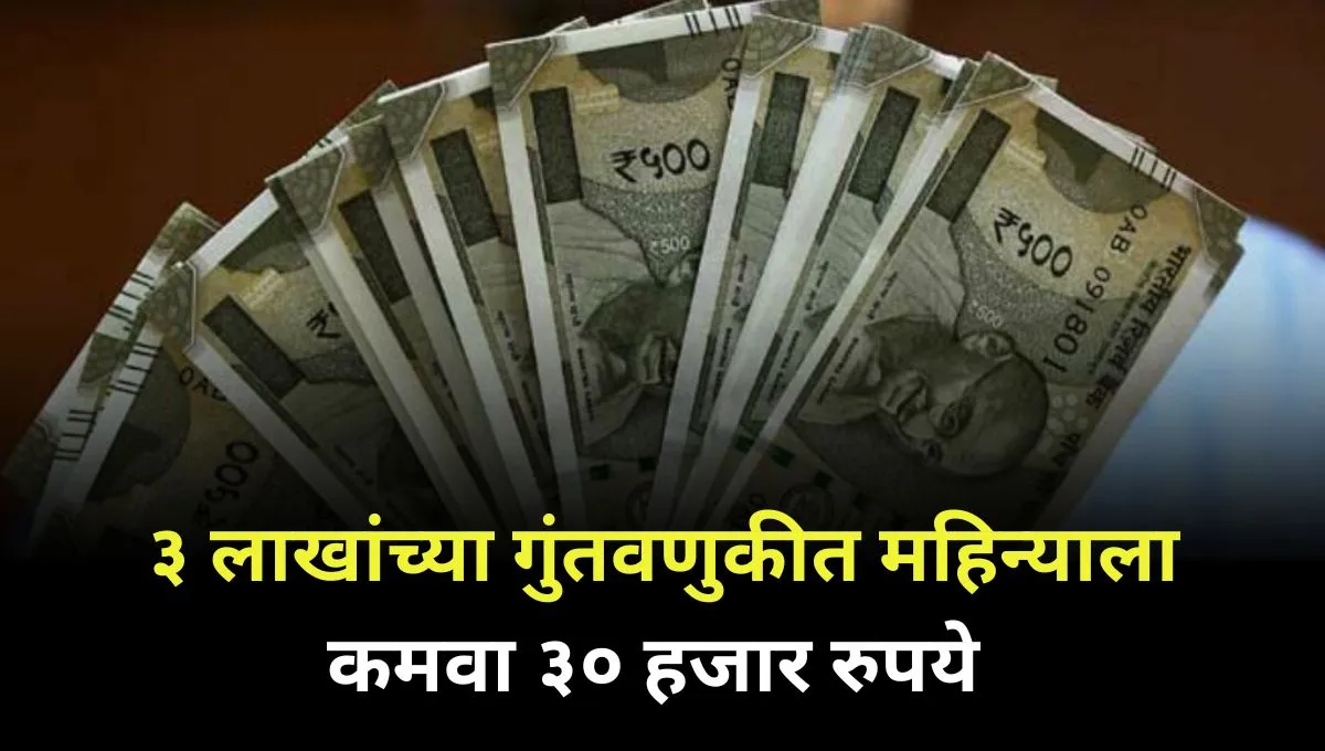 an-investment-of-3-lakhs-will-earn-30-thousand-business-marathi
